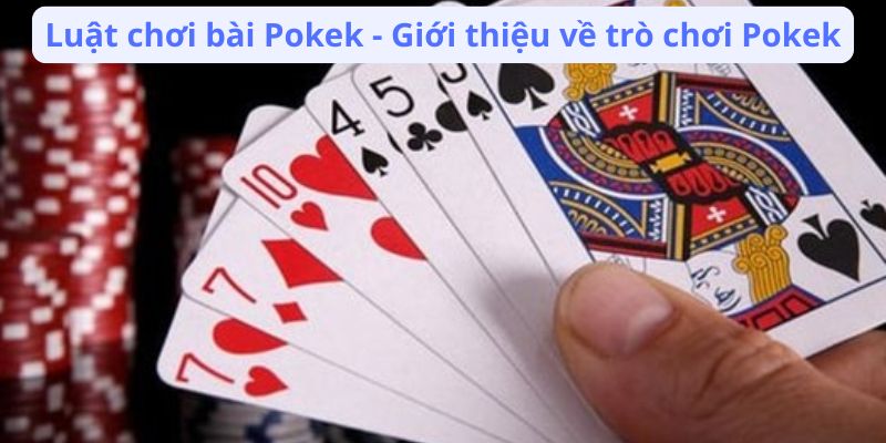 Luật Chơi Bài Pokek: Cách Chơi, Quy Tắc Và Những Điều Cần Biết 2 luat-choi-bai-pokek-gioi-thieu-ve-tro-choi-pokek